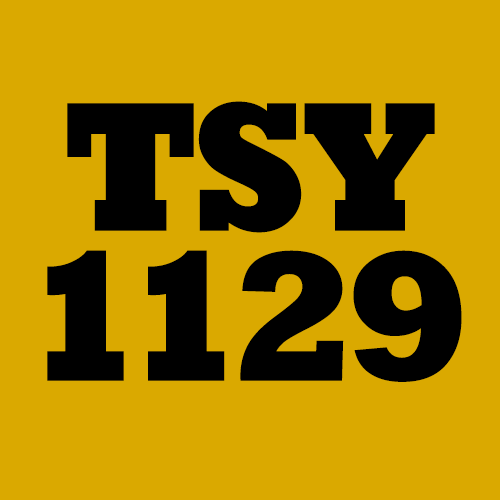 TSY1129